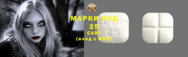 PSILOCYBIN Аркадак
