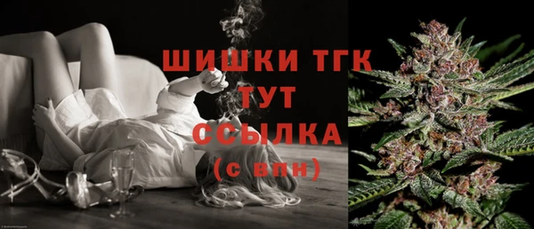 PSILOCYBIN Аркадак