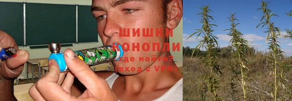 PSILOCYBIN Аркадак